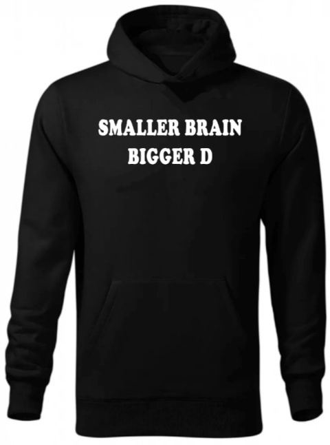 smaller brain bigger D HOODIE